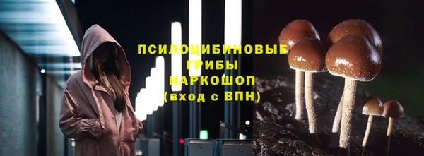амф Богданович