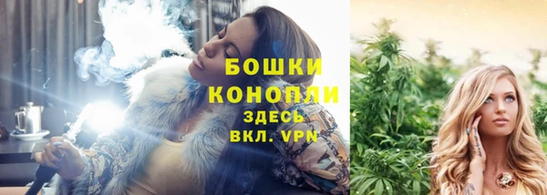 амф Богданович