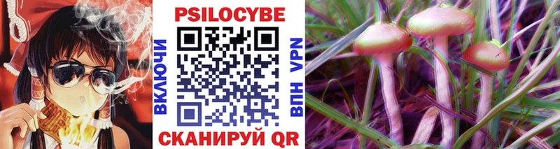 Галлюциногенные грибы Psilocybine cubensis закладки Суворов